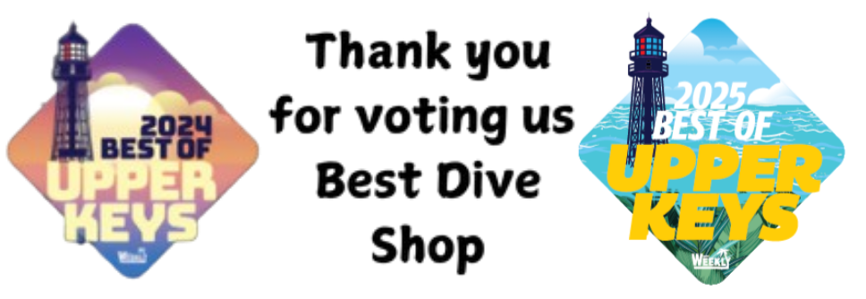 Best Dive Shop