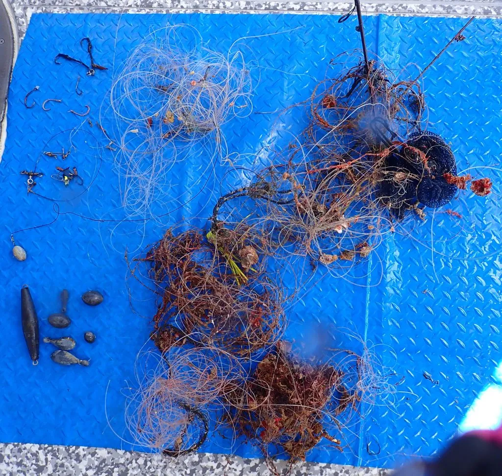 marine debris fishing line hooks Save turtles turtle hospital