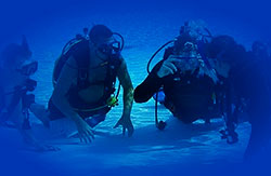 florida keys diving