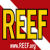 reef-logo50x50